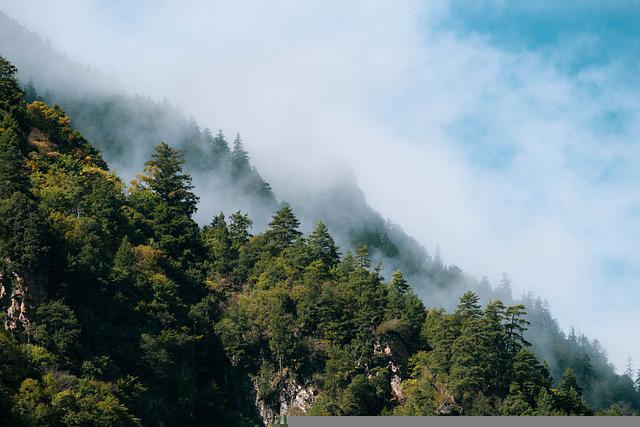 Photo of forested alpine ridges.