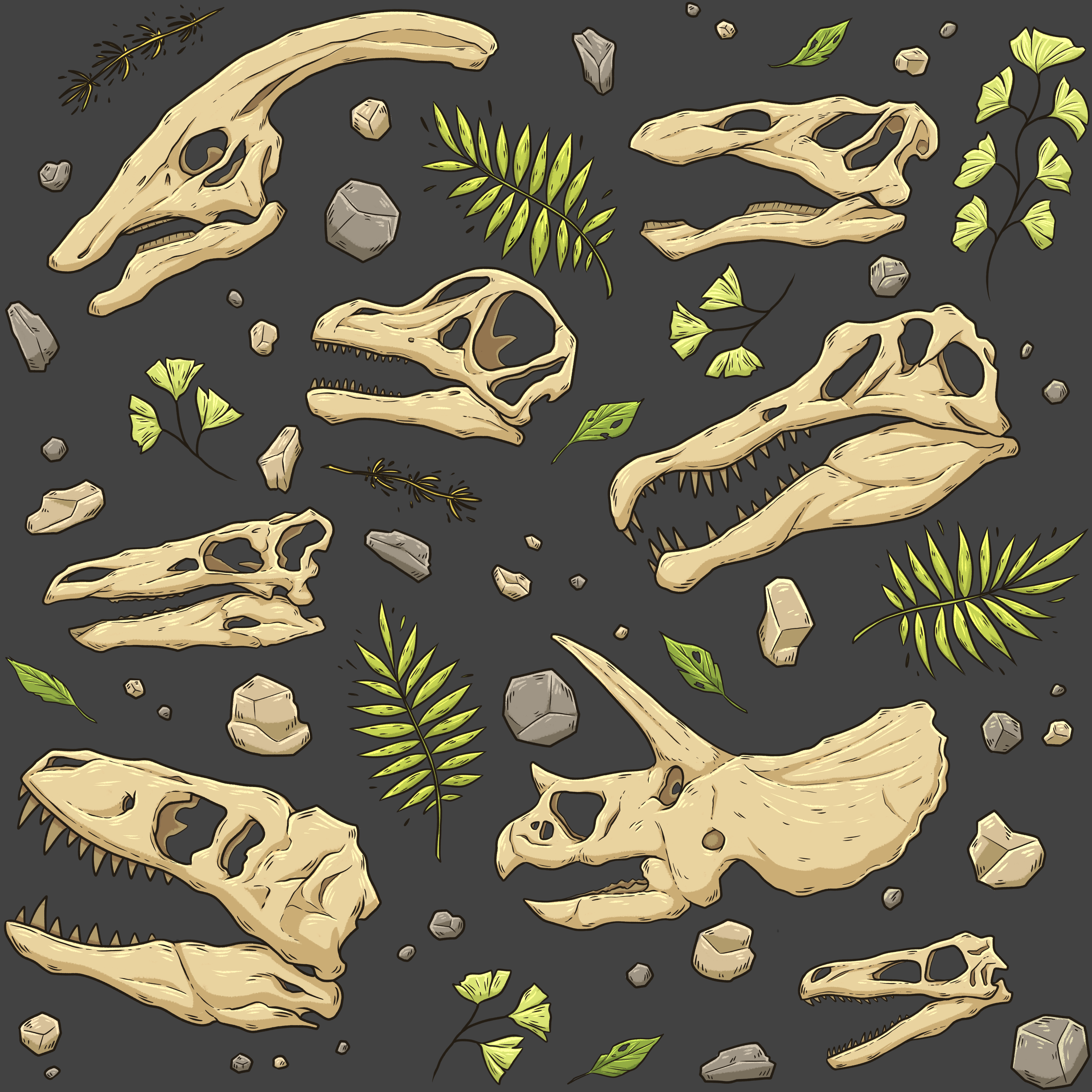 Dino Skulls