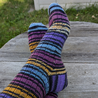 Simple Ribbed Socks Thumbnail